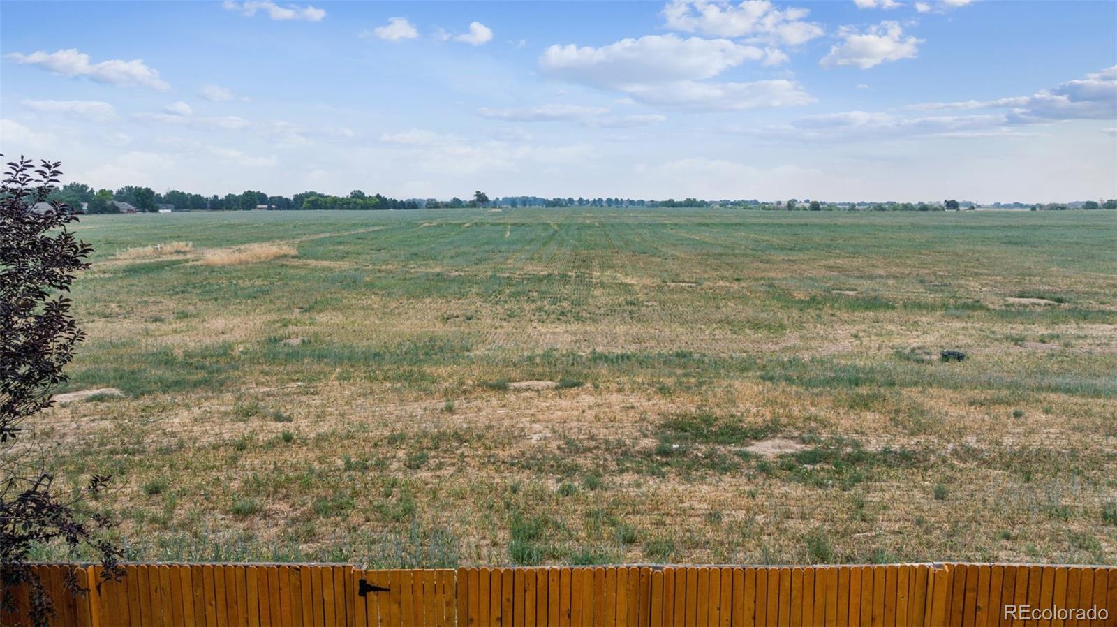 MLS Image #22 for 647  berwick avenue,firestone, Colorado
