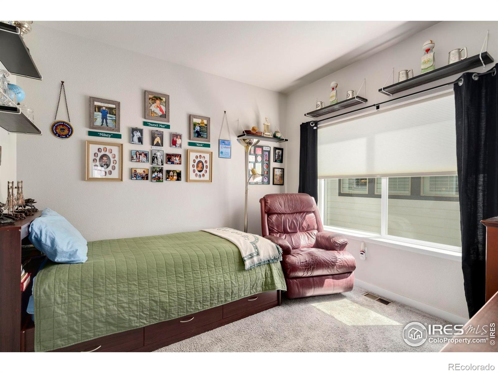 MLS Image #20 for 3593  taylor walker street,loveland, Colorado