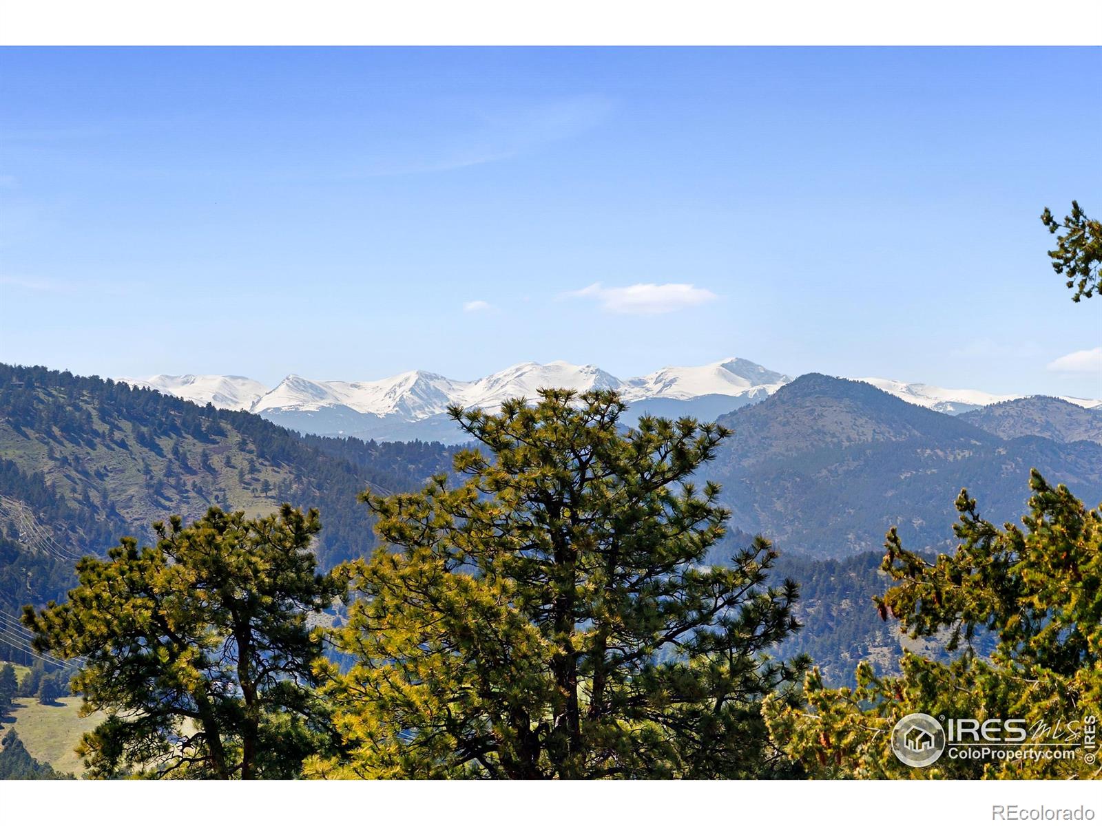 MLS Image #11 for 22598  westview avenue,golden, Colorado