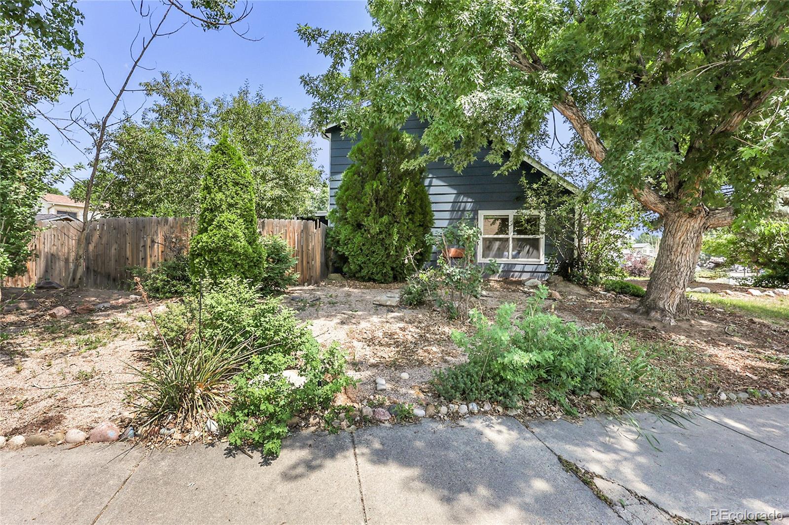 MLS Image #24 for 3510  sydney terrace,colorado springs, Colorado