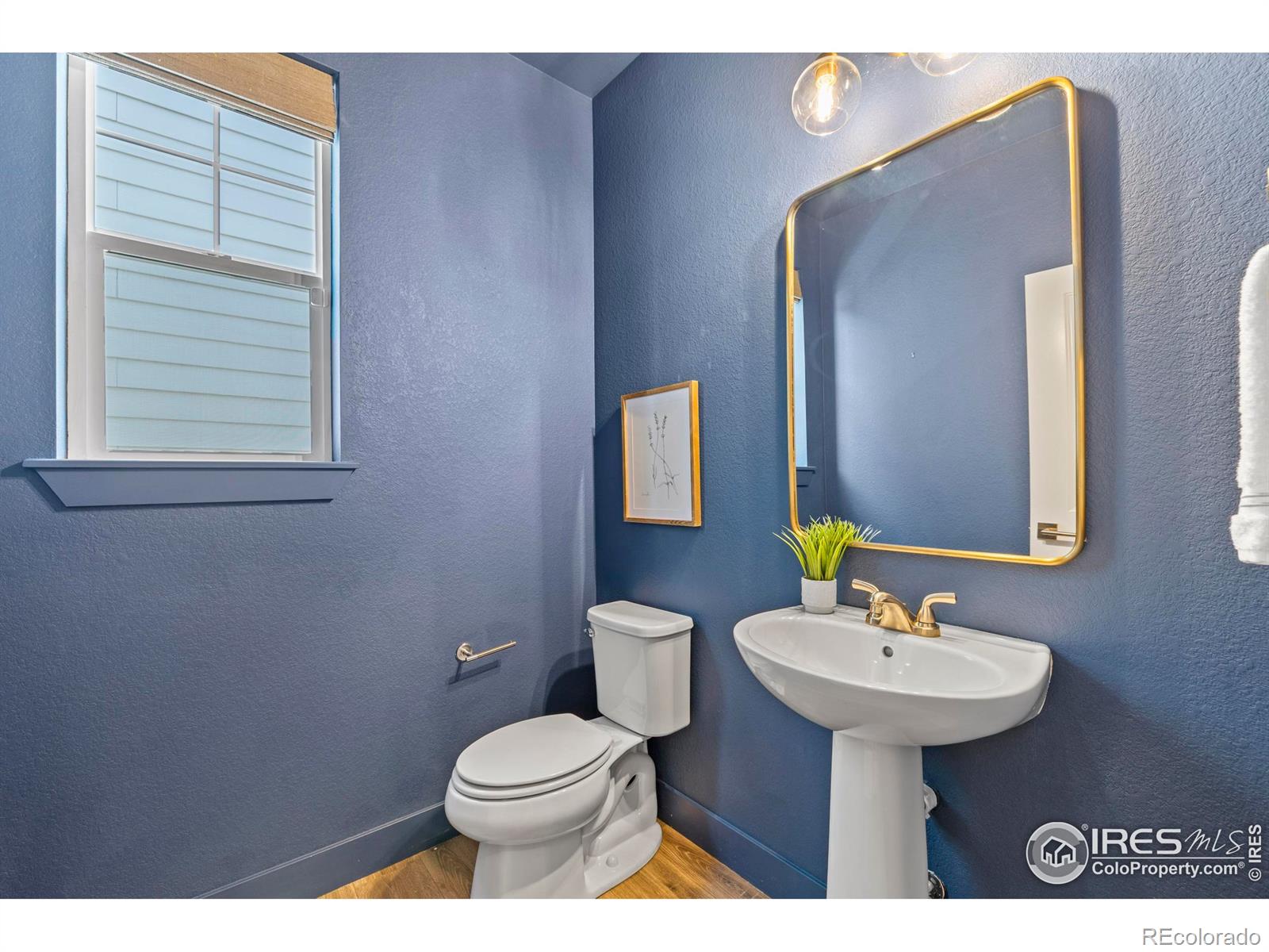 MLS Image #5 for 1923  high plains drive,longmont, Colorado