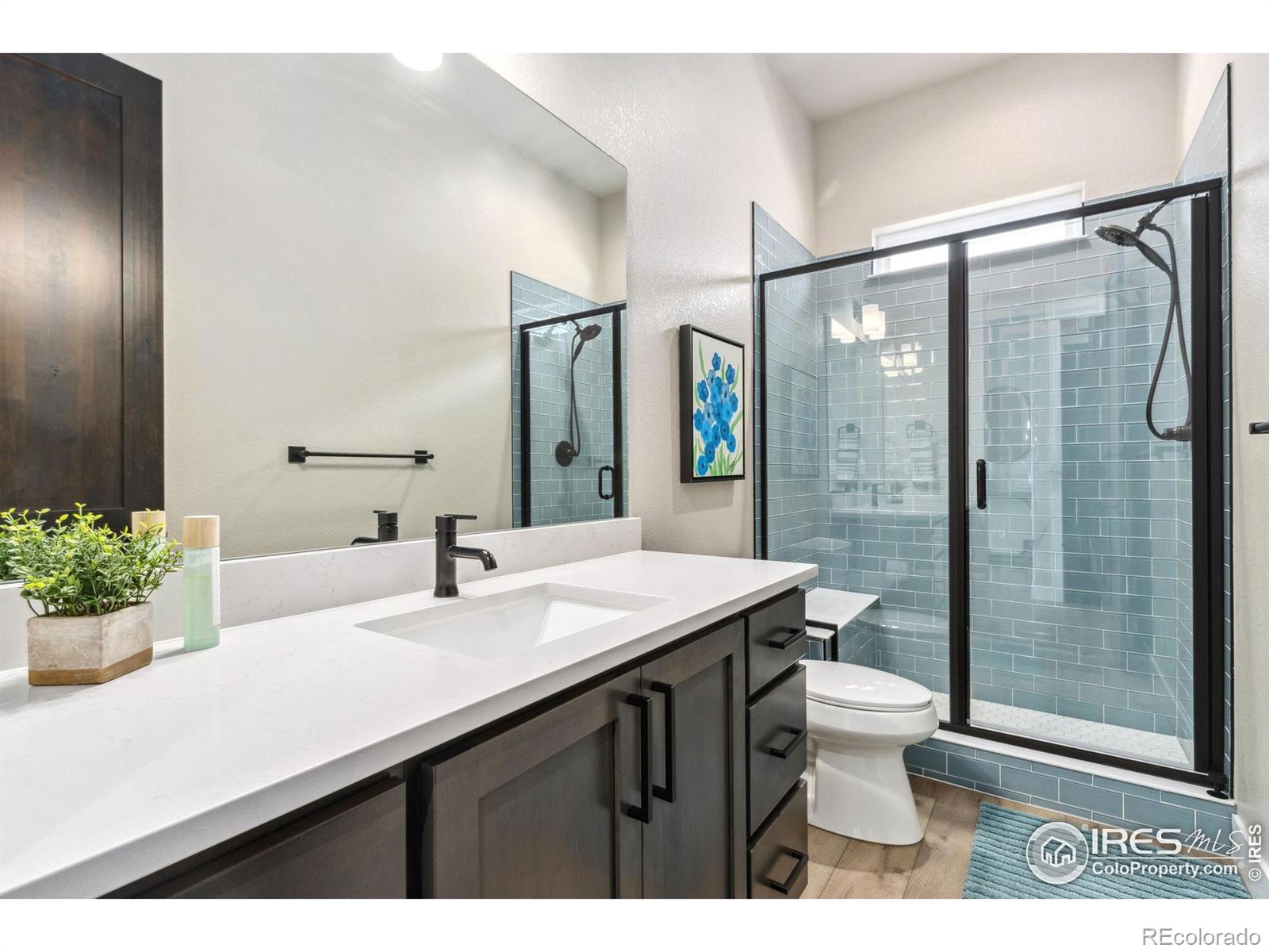 MLS Image #18 for 1721  brightwater drive,fort collins, Colorado