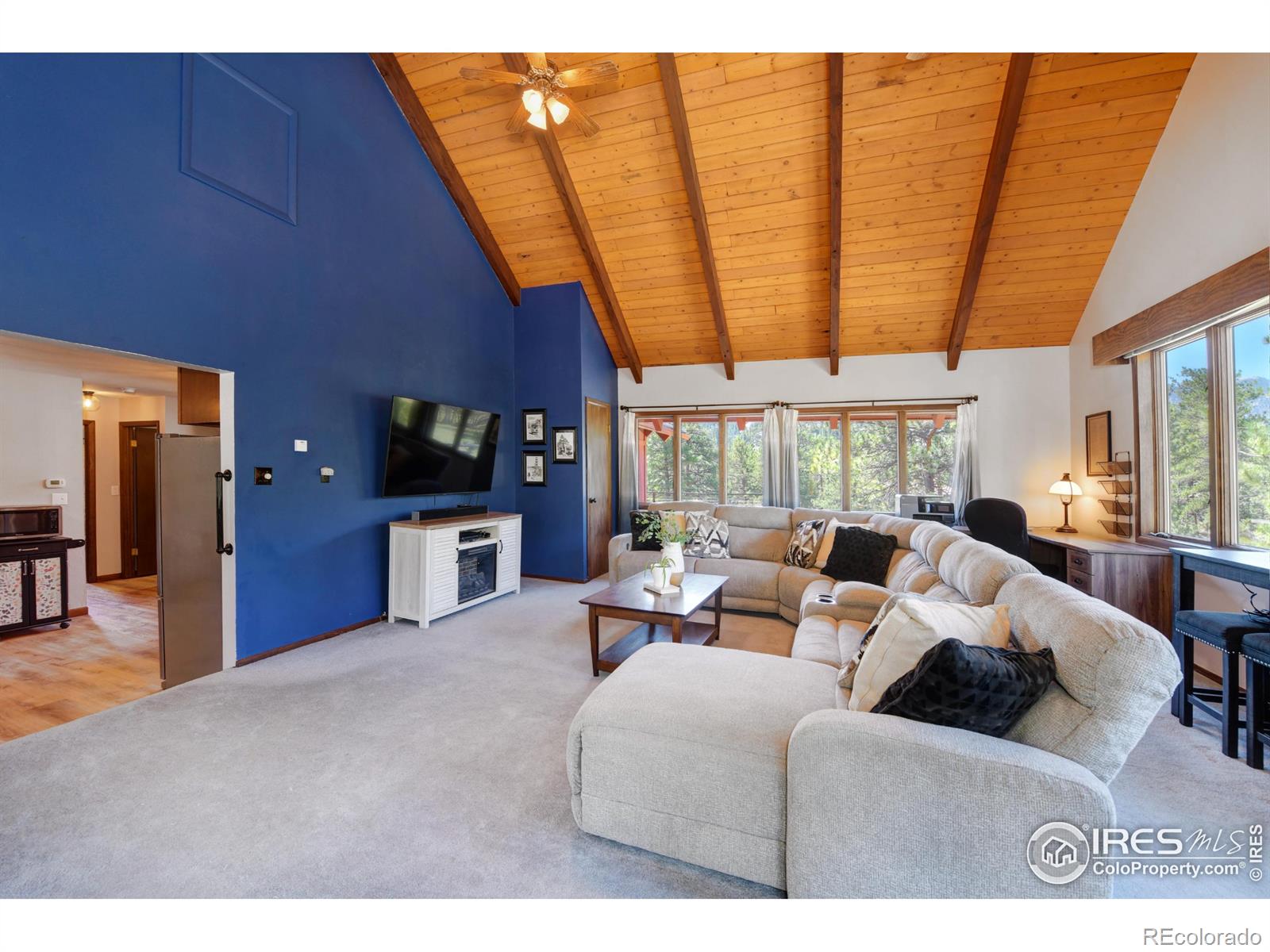 MLS Image #13 for 40  hopi court,lyons, Colorado