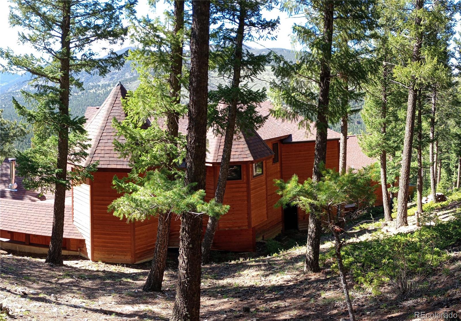 MLS Image #26 for 4618 se summit trail,evergreen, Colorado