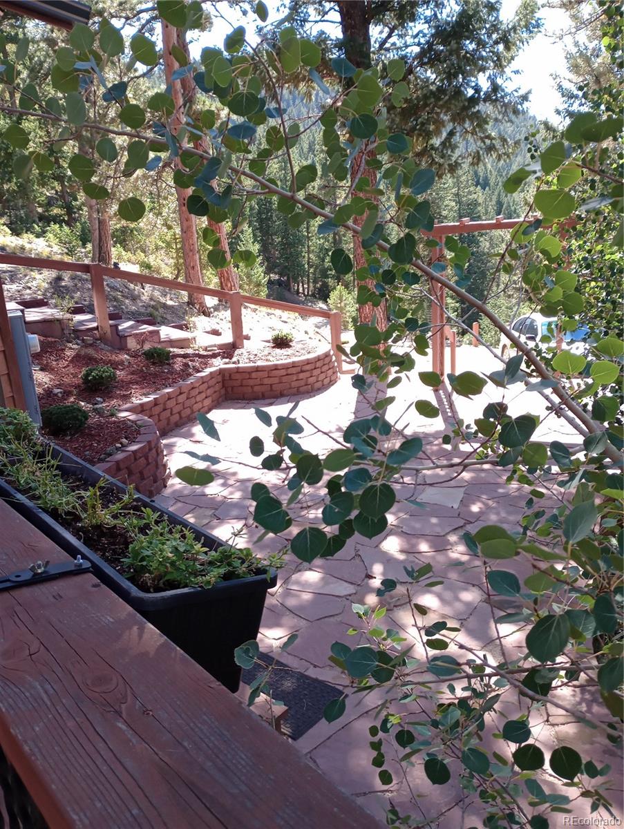 MLS Image #28 for 4618 se summit trail,evergreen, Colorado