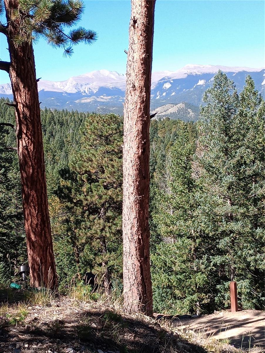 MLS Image #33 for 4618 se summit trail,evergreen, Colorado