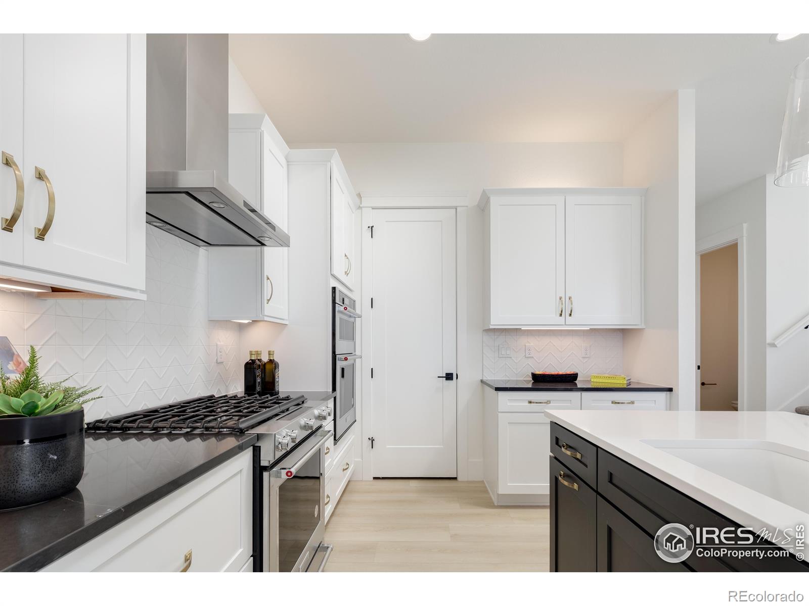 MLS Image #3 for 1611  poplar drive,erie, Colorado