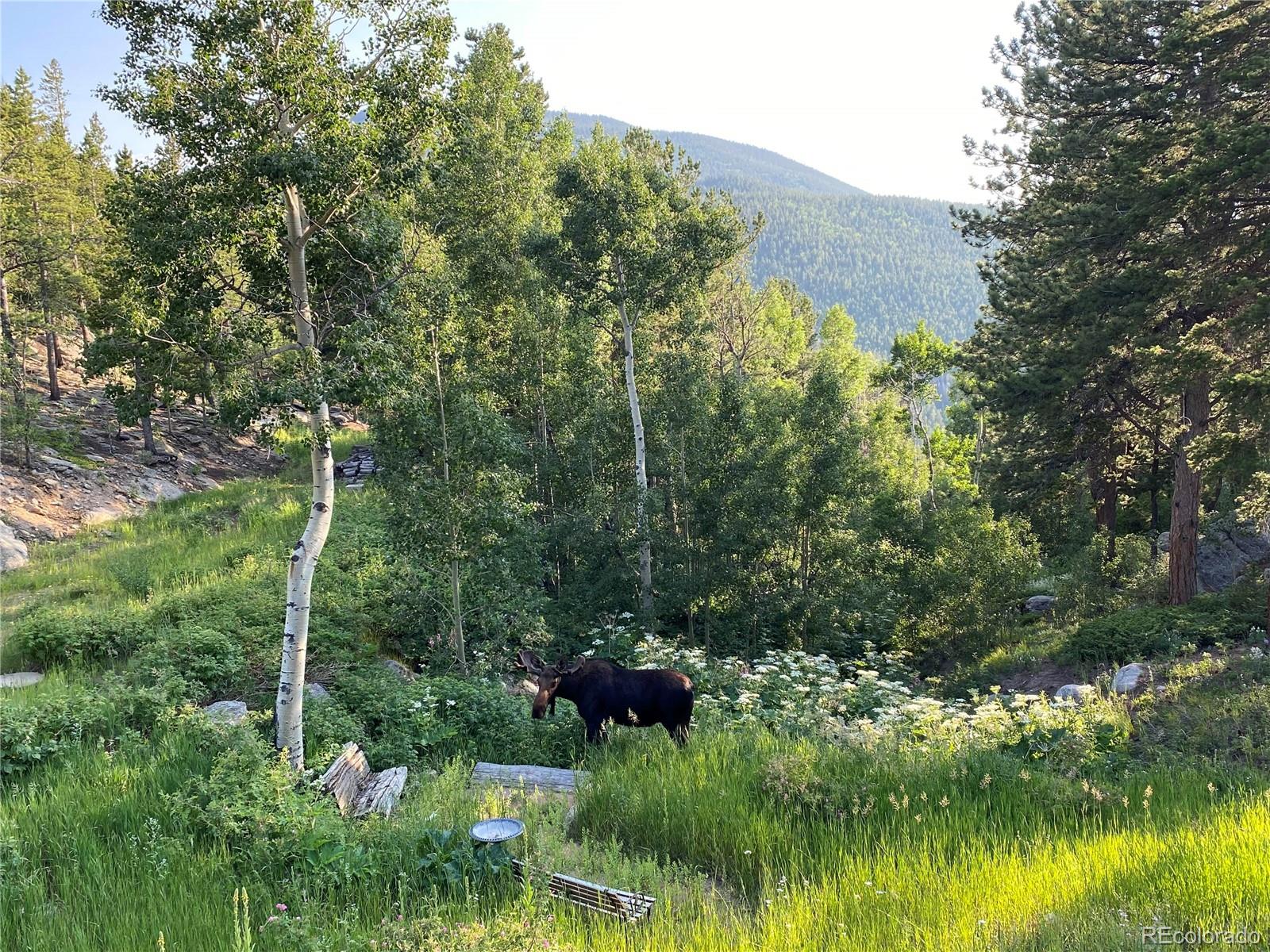 MLS Image #41 for 72  rudi lane,golden, Colorado