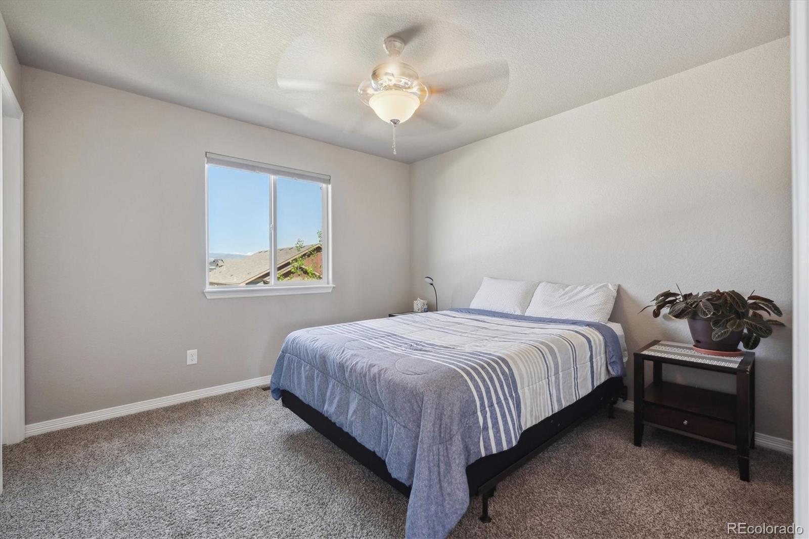 MLS Image #12 for 2431  nicholson street,berthoud, Colorado