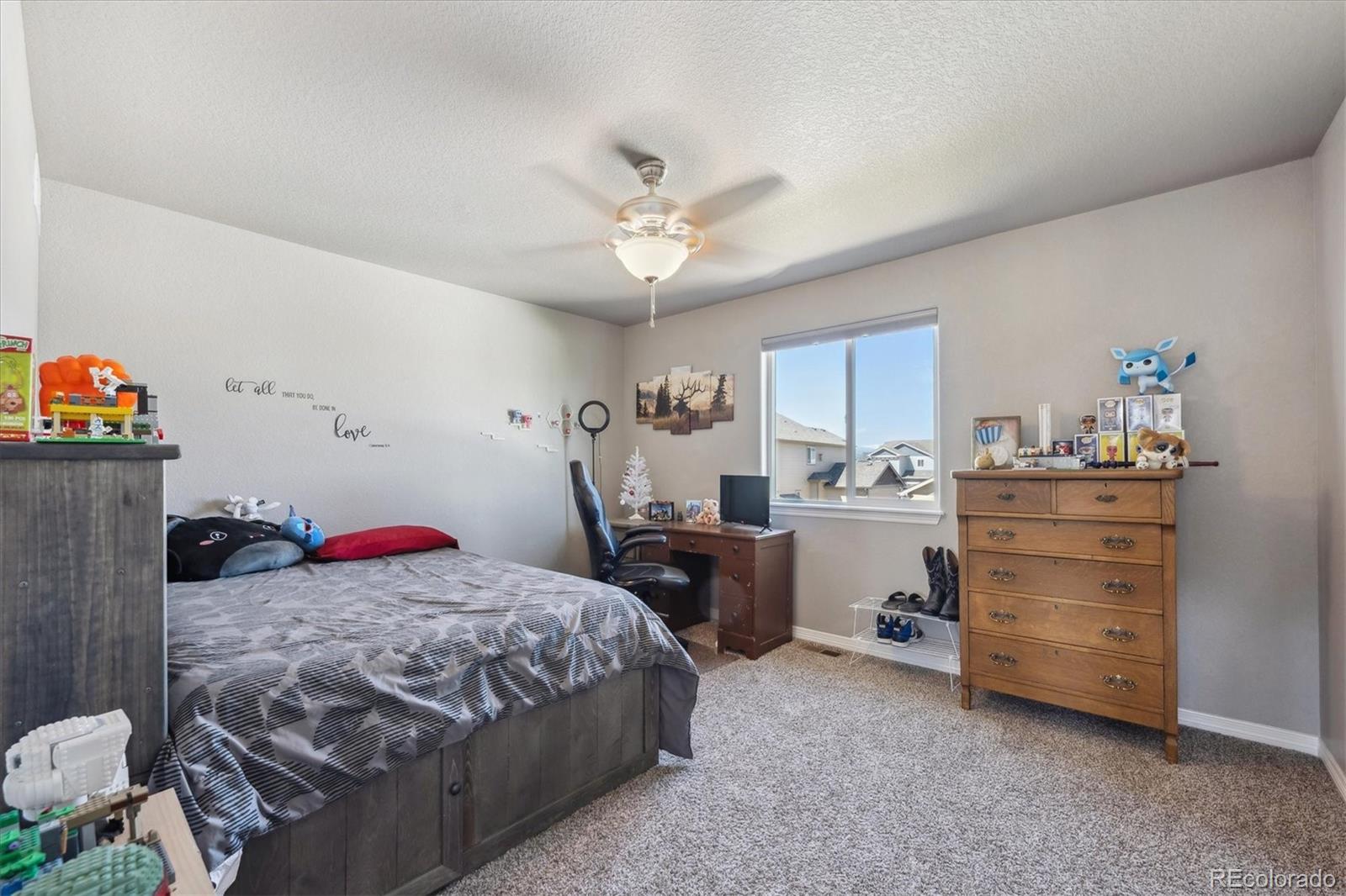 MLS Image #13 for 2431  nicholson street,berthoud, Colorado