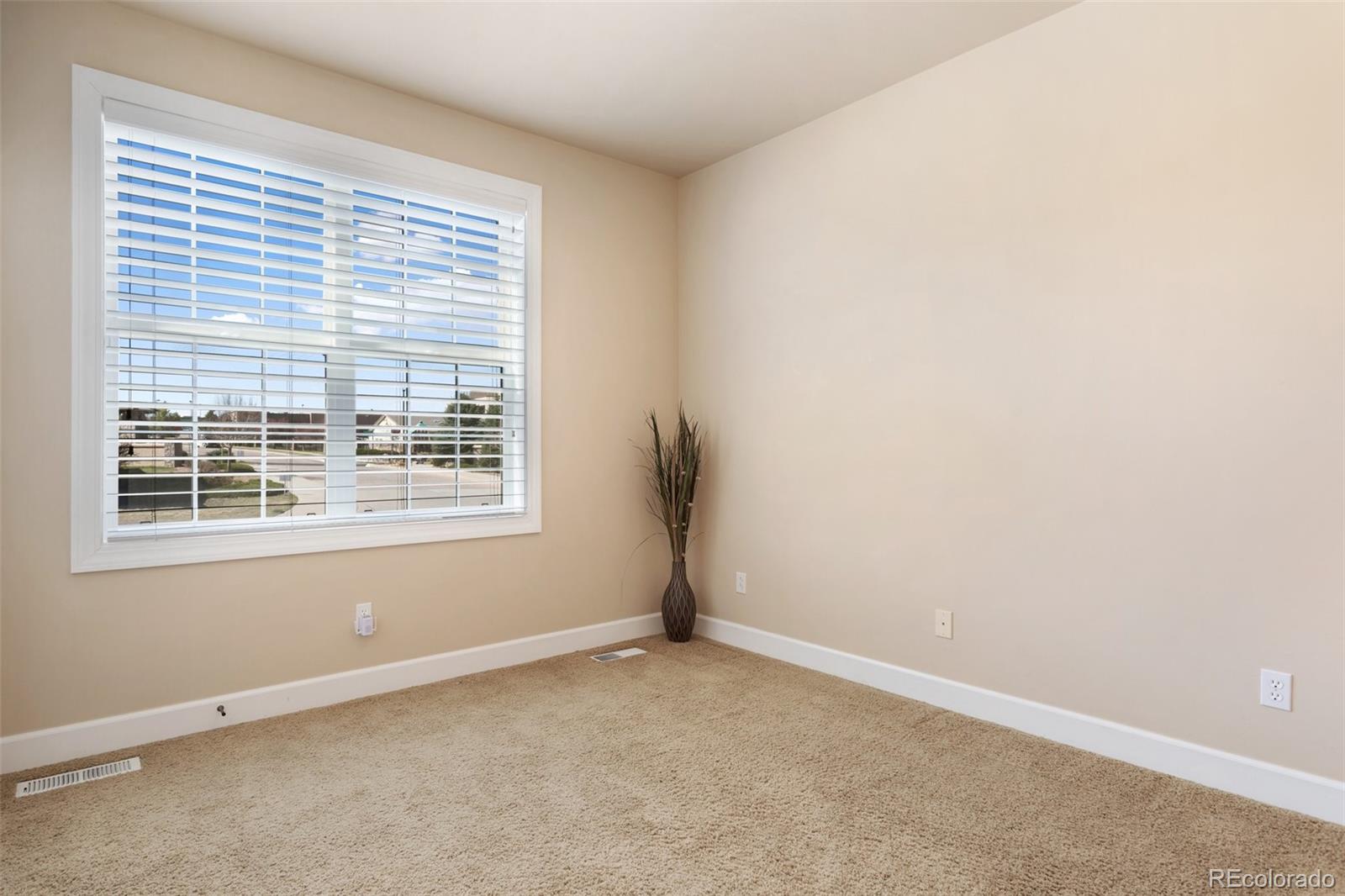 MLS Image #11 for 2432  pine valley view,colorado springs, Colorado
