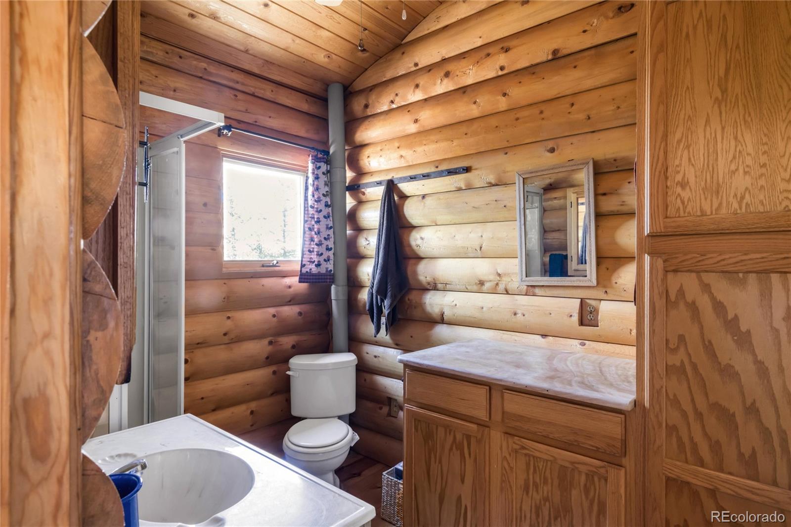 MLS Image #17 for 73  elk way,drake, Colorado