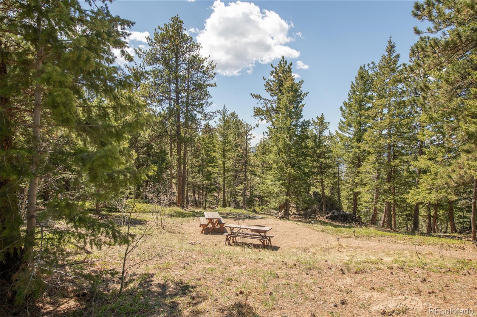 MLS Image #3 for 73  elk way,drake, Colorado