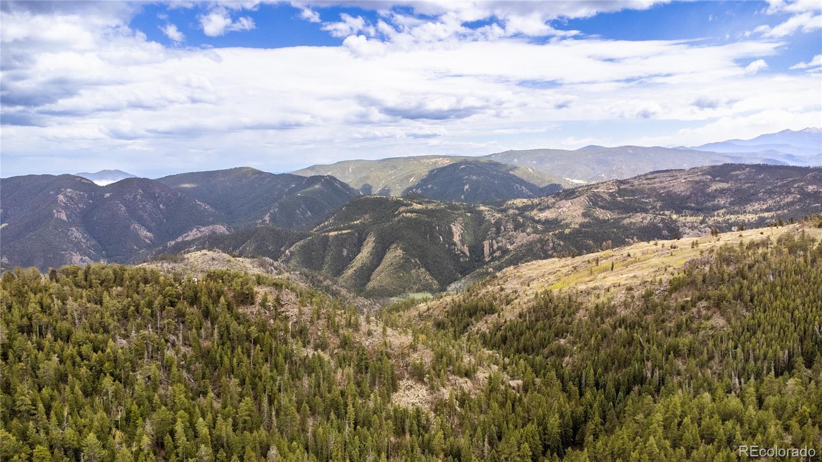 MLS Image #4 for 73  elk way,drake, Colorado