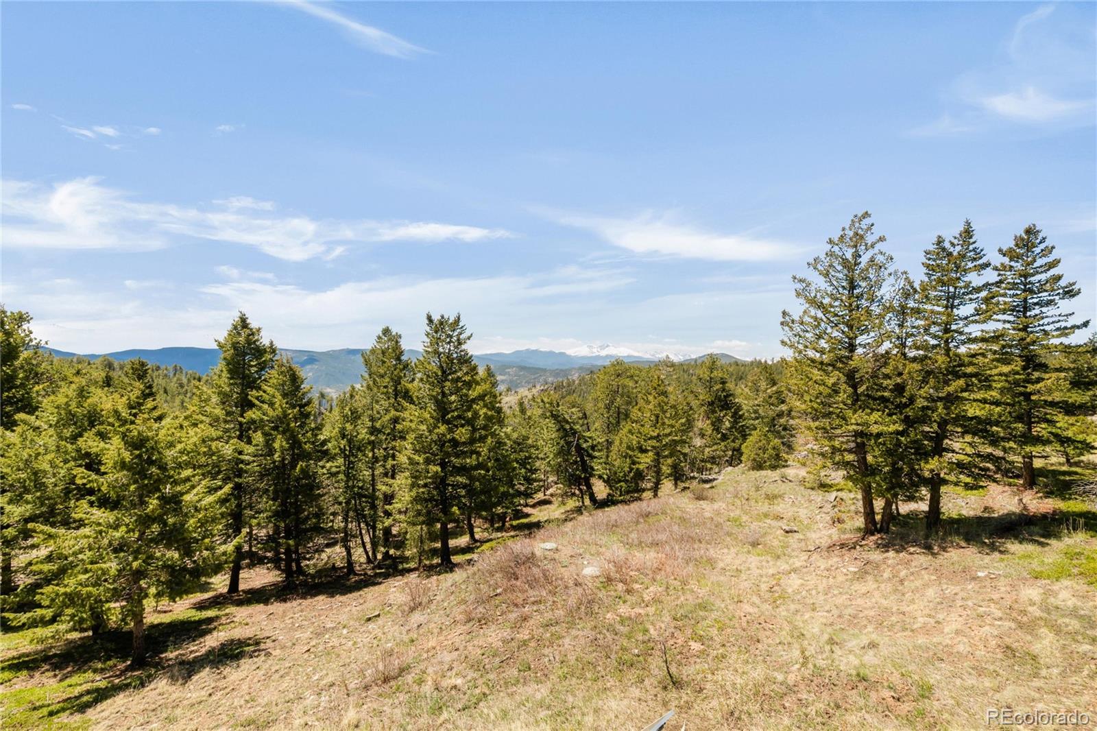 MLS Image #5 for 73  elk way,drake, Colorado