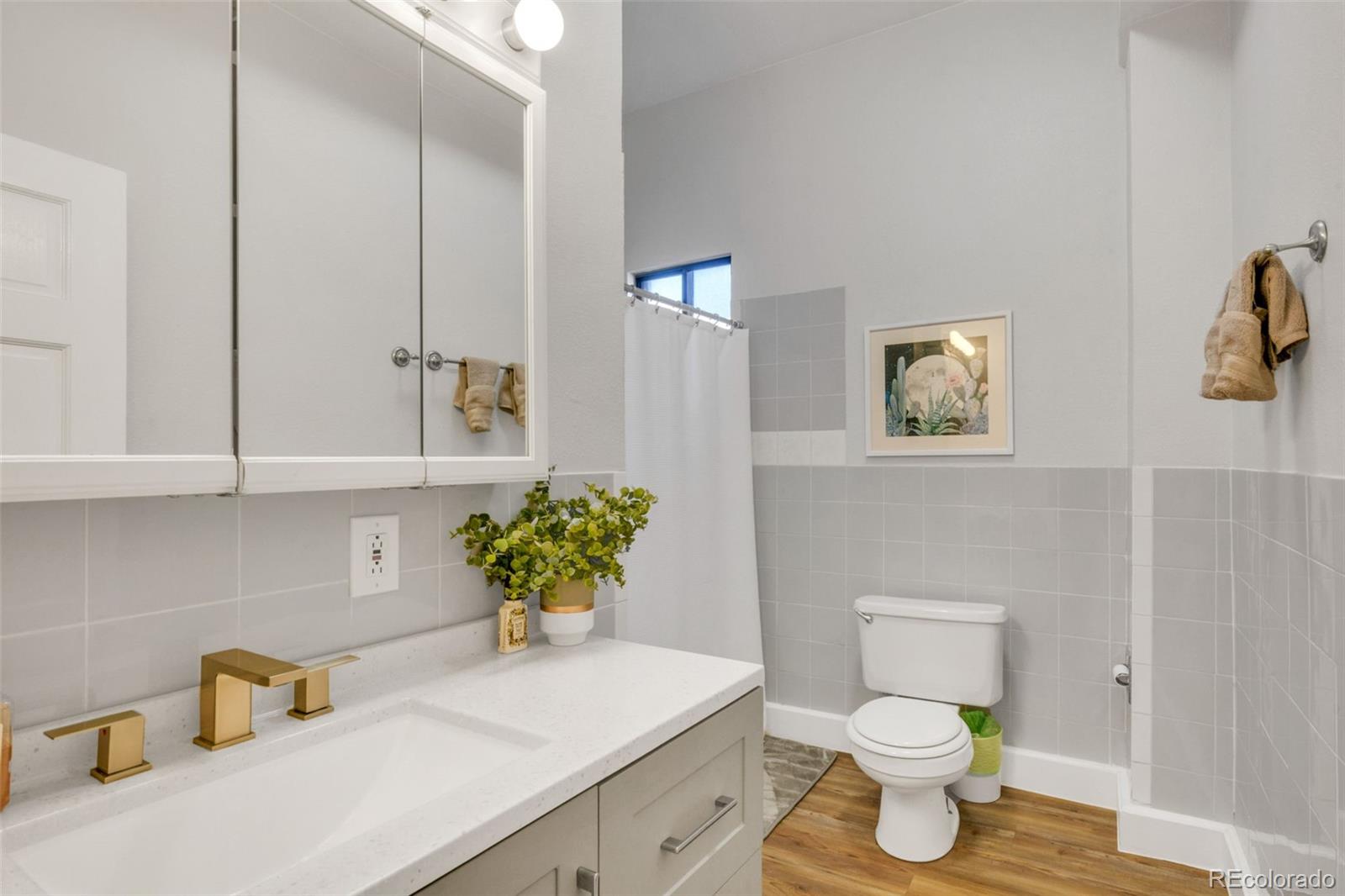 MLS Image #11 for 748  elati street,denver, Colorado