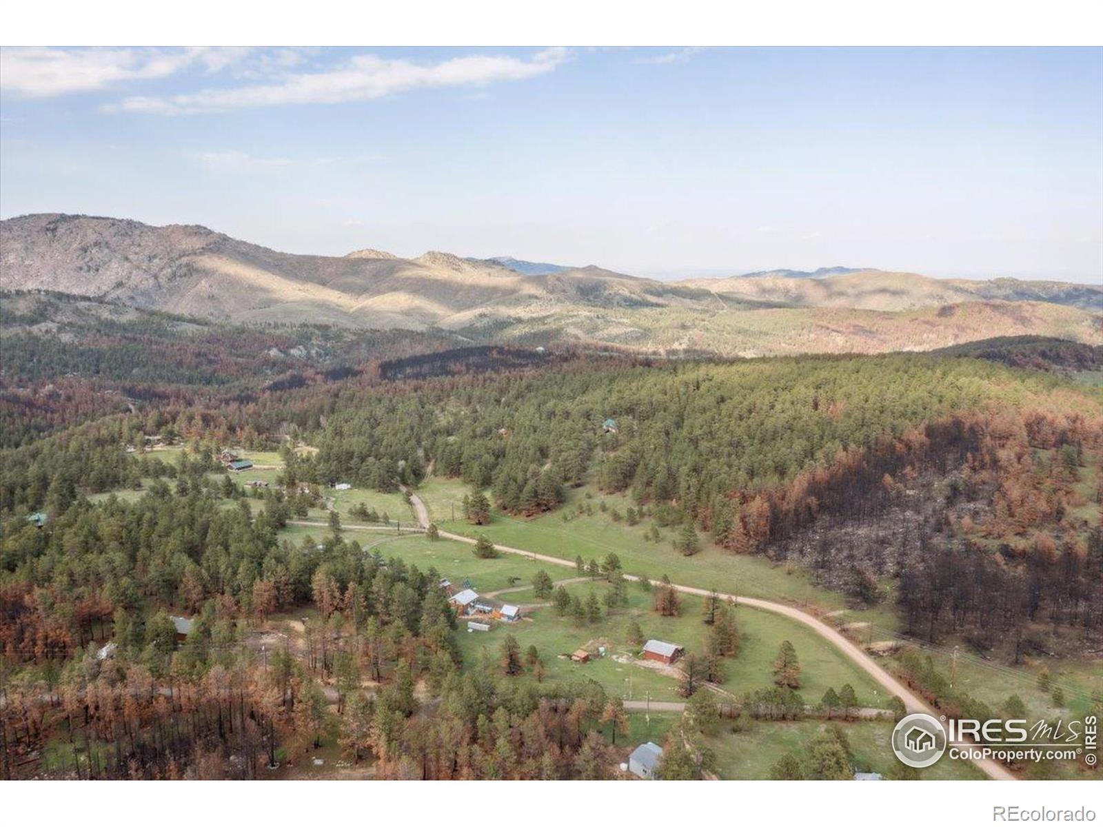 MLS Image #3 for 1095  spruce mountain drive,drake, Colorado