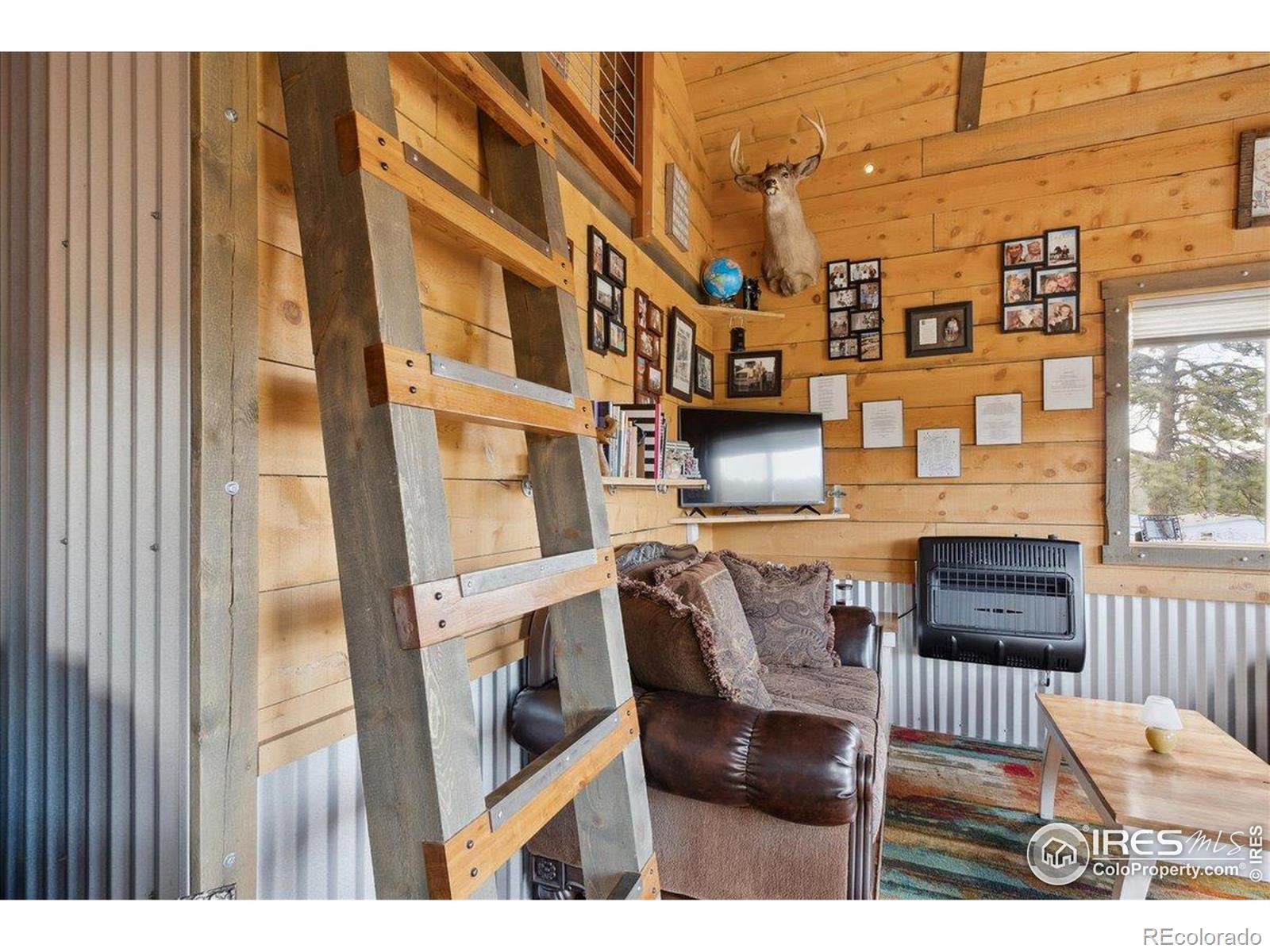MLS Image #9 for 1095  spruce mountain drive,drake, Colorado