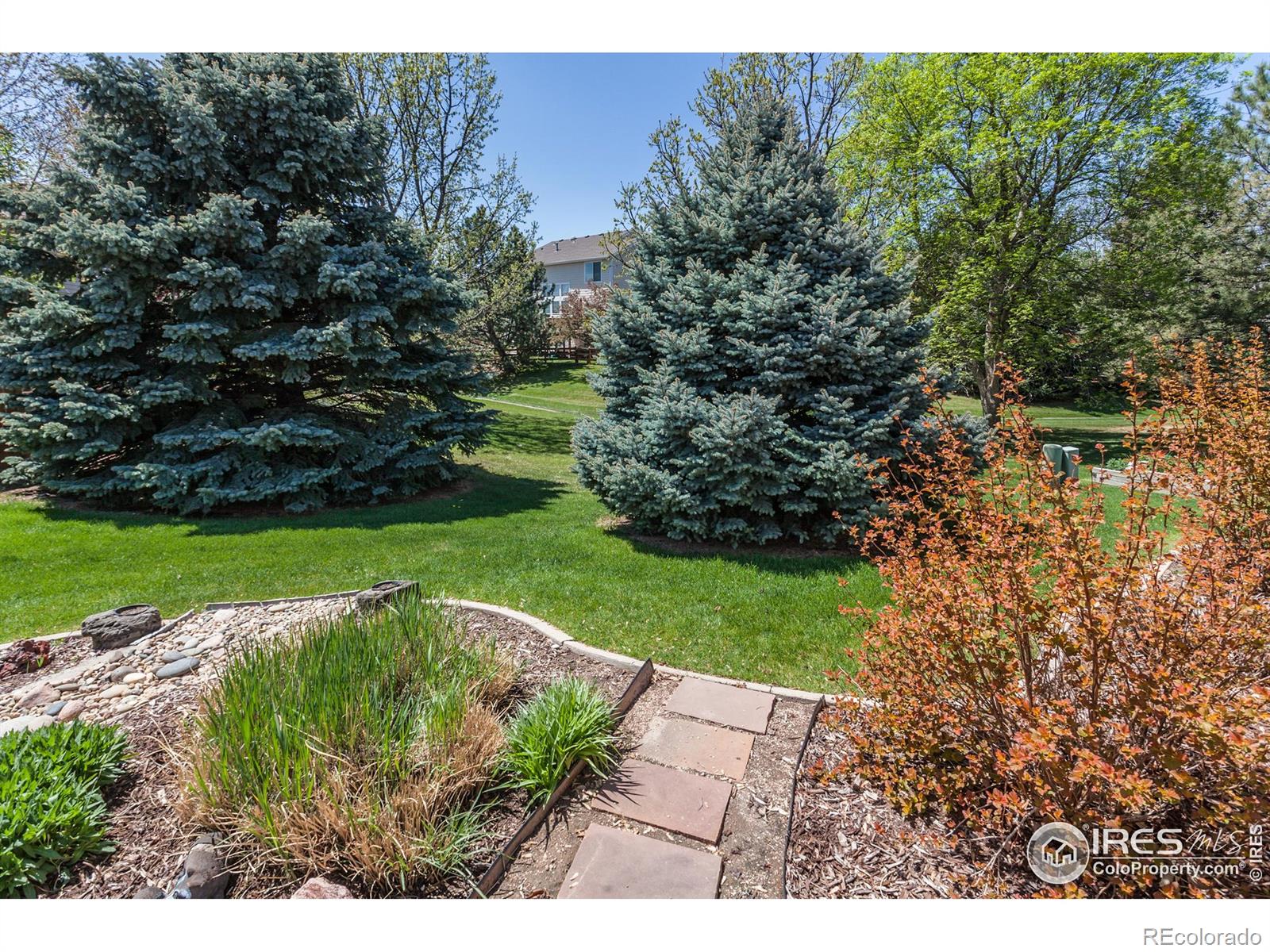 MLS Image #28 for 2409  rock creek drive,fort collins, Colorado