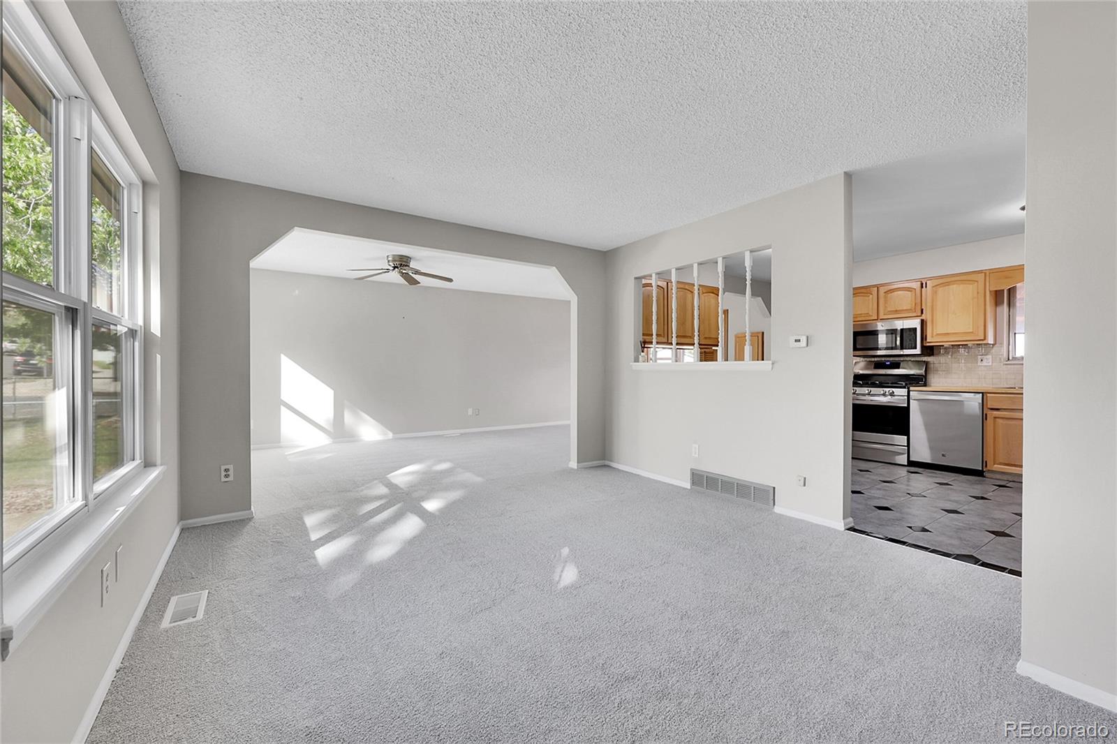 MLS Image #4 for 113  homer drive,colorado springs, Colorado