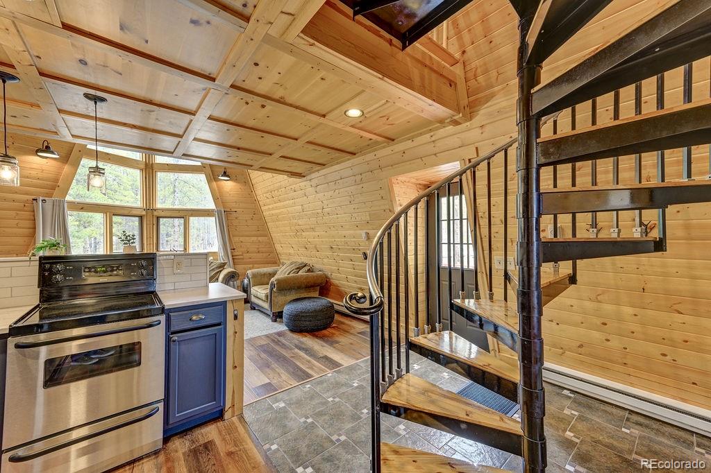 MLS Image #11 for 925  sequoia drive,leadville, Colorado