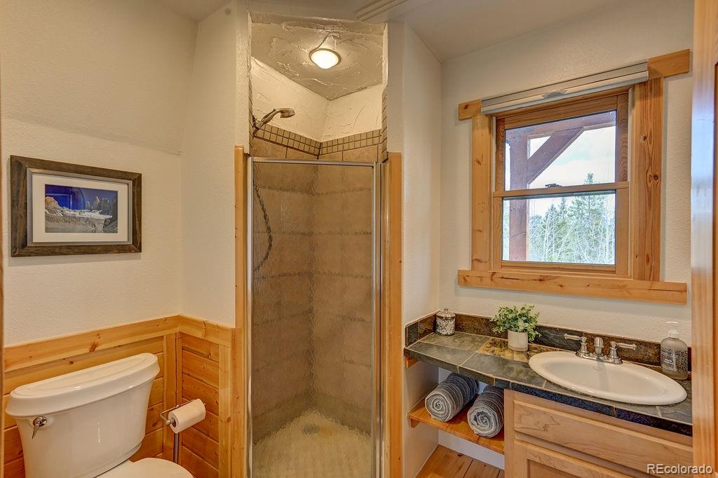 MLS Image #15 for 925  sequoia drive,leadville, Colorado