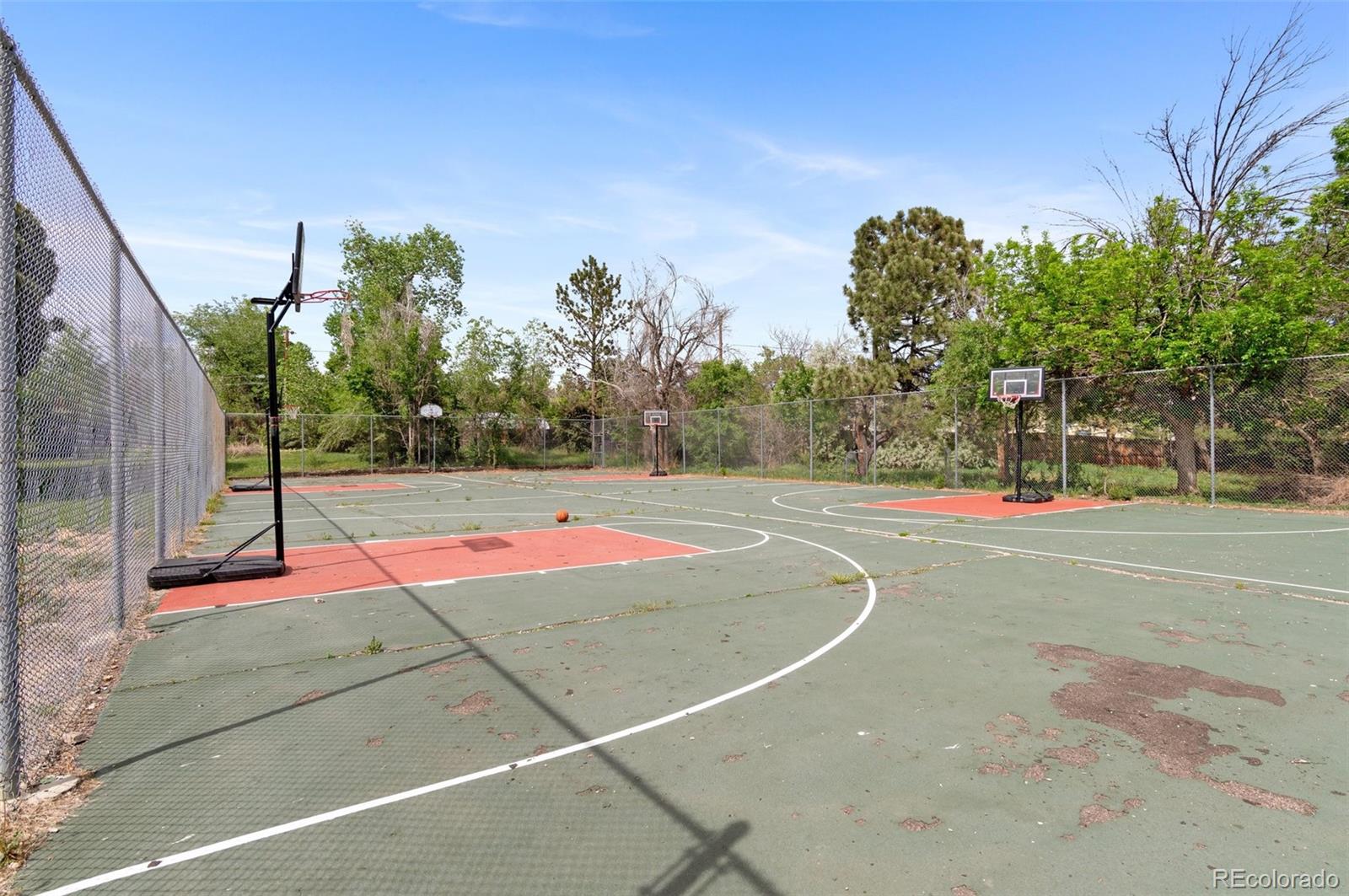 MLS Image #20 for 9650  huron street,thornton, Colorado
