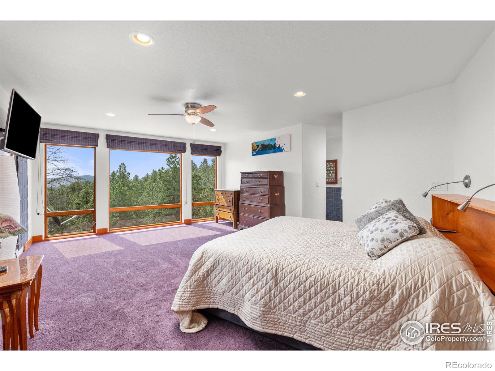 MLS Image #18 for 729  sawmill road,loveland, Colorado