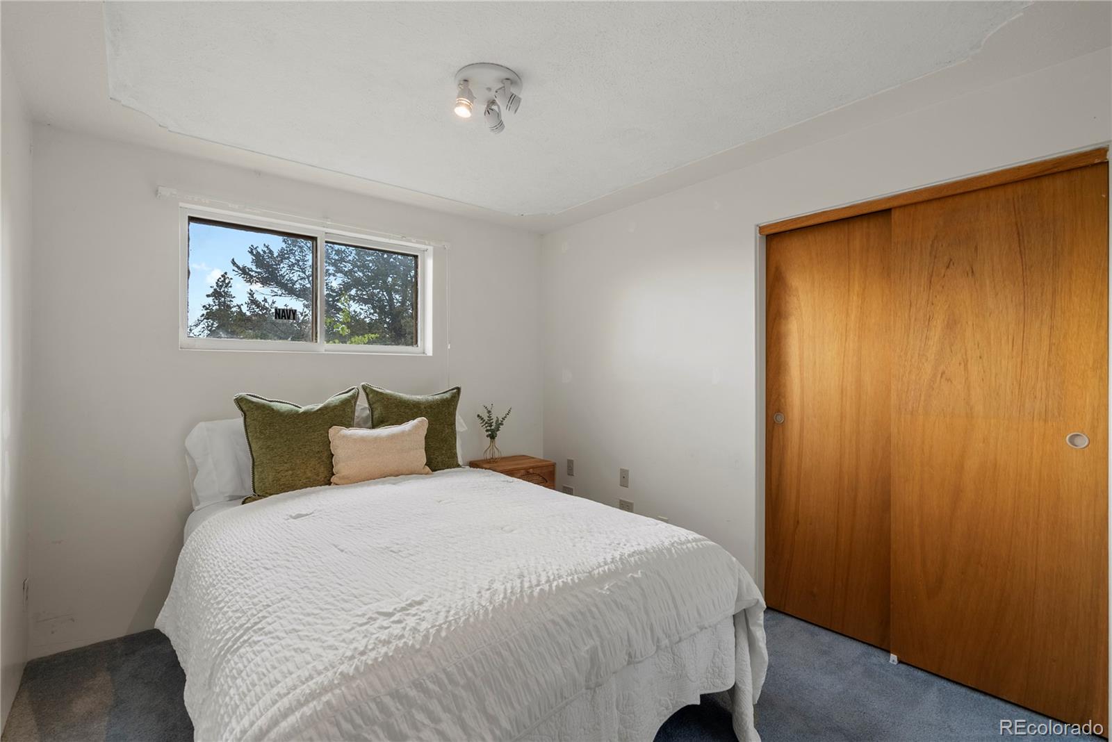 MLS Image #26 for 8701  majestic view drive,conifer, Colorado