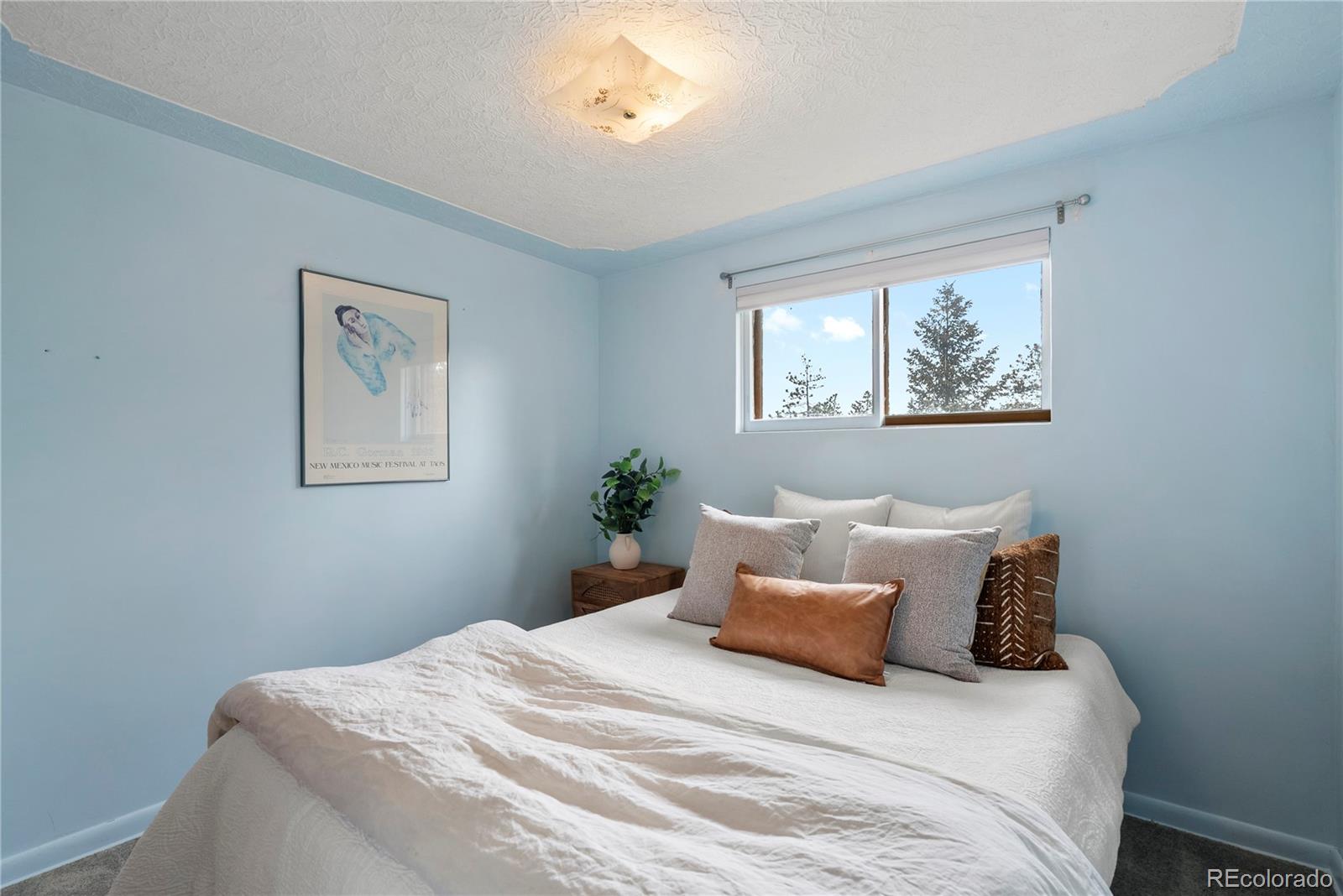 MLS Image #28 for 8701  majestic view drive,conifer, Colorado
