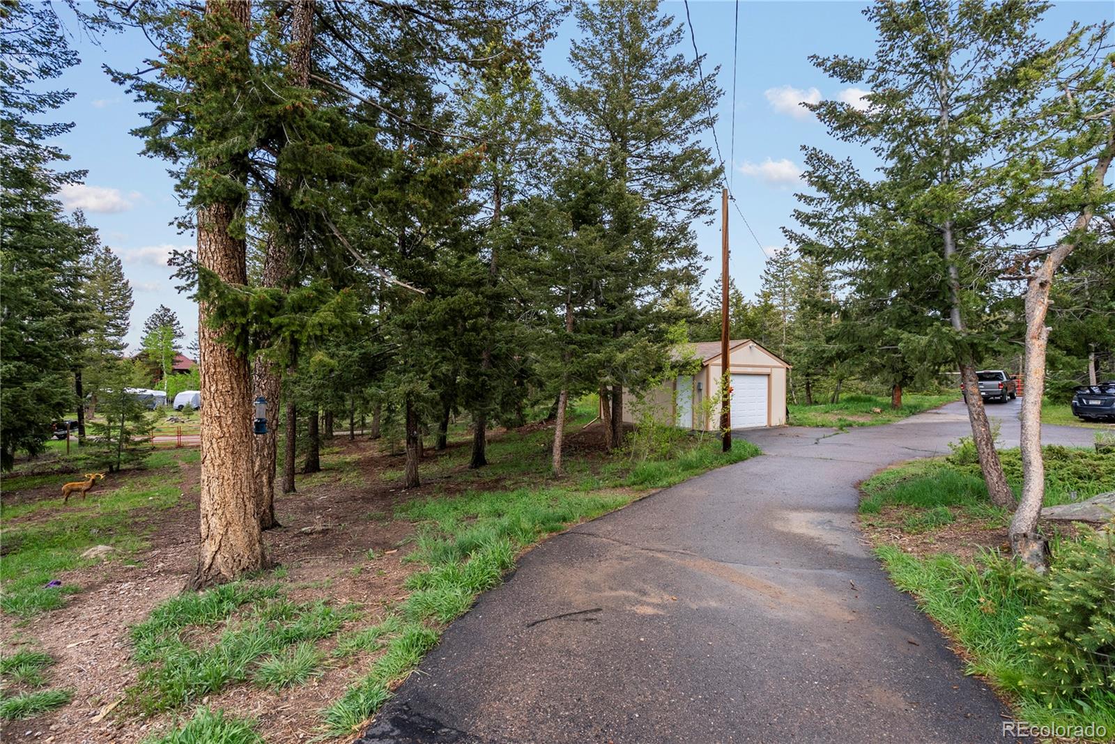 MLS Image #34 for 8701  majestic view drive,conifer, Colorado