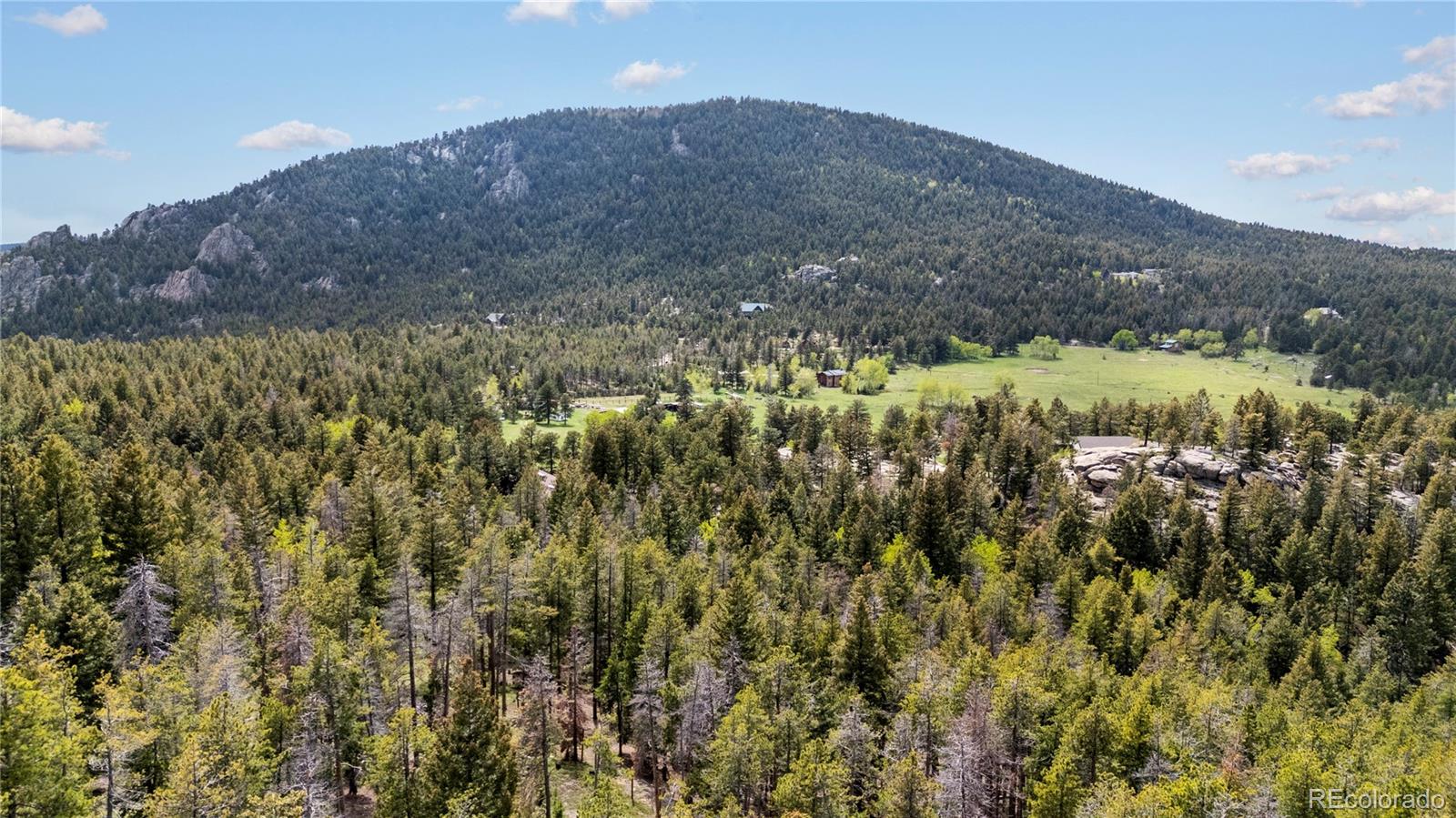 MLS Image #5 for 8701  majestic view drive,conifer, Colorado