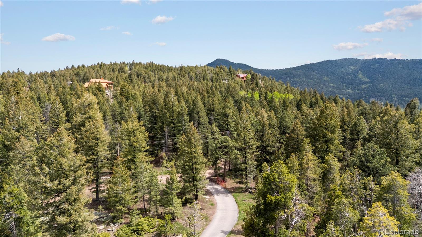 MLS Image #6 for 8701  majestic view drive,conifer, Colorado