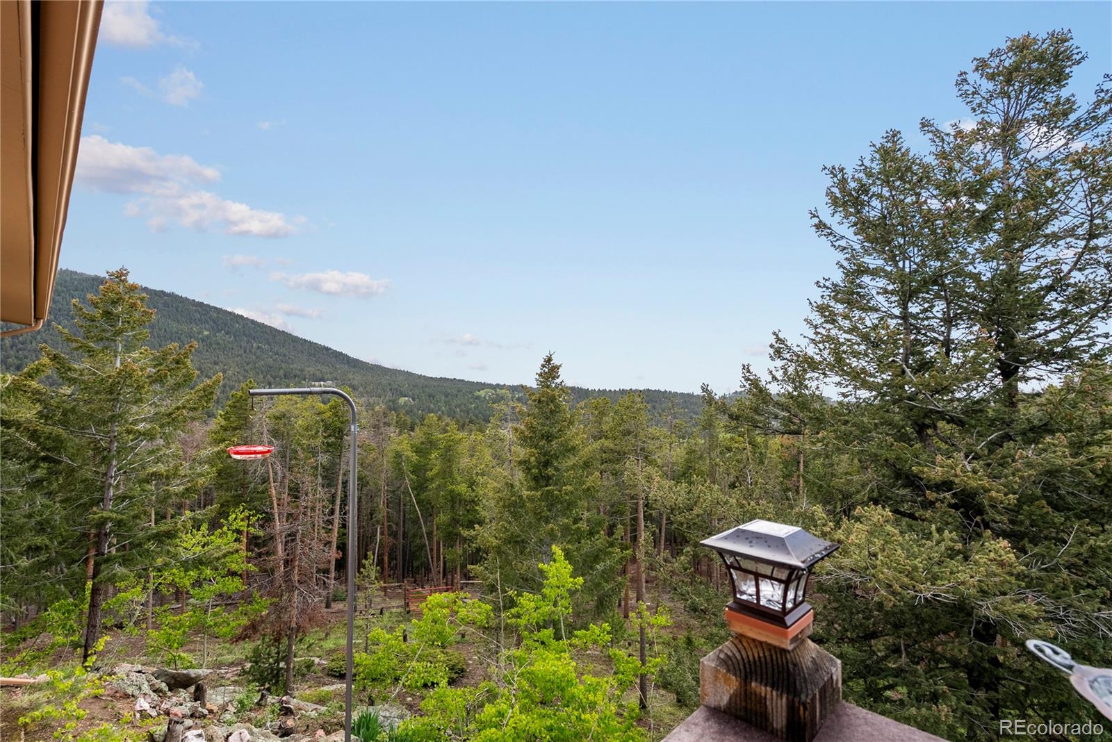 MLS Image #7 for 8701  majestic view drive,conifer, Colorado