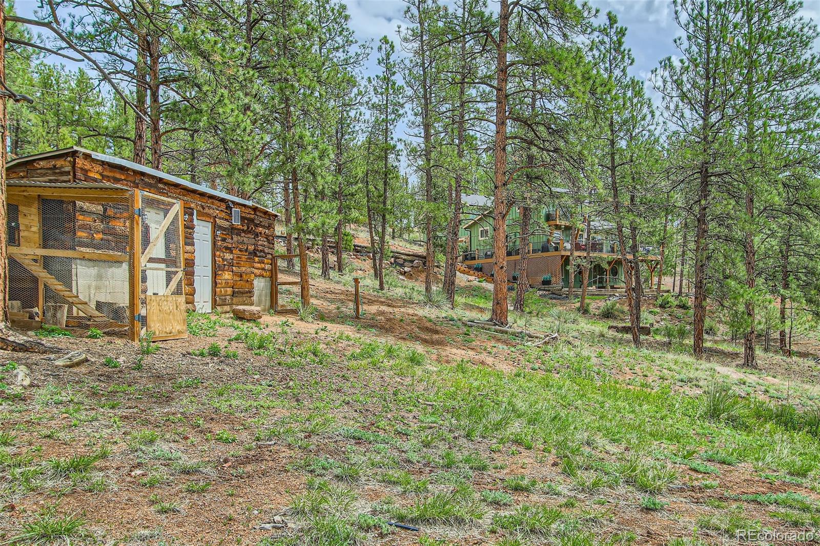 MLS Image #42 for 16626  ouray road,pine, Colorado