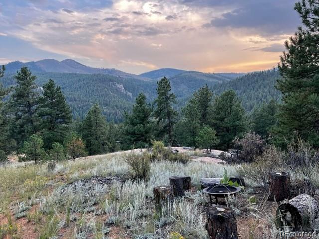 MLS Image #48 for 16626  ouray road,pine, Colorado