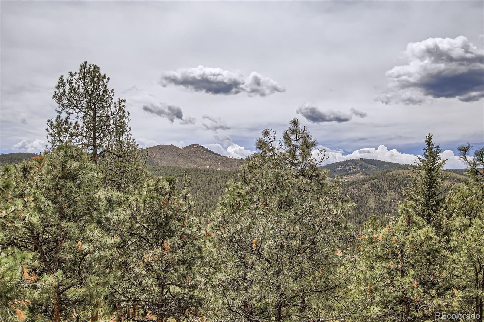 MLS Image #5 for 16626  ouray road,pine, Colorado