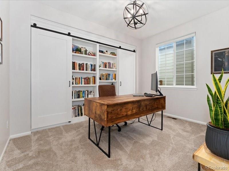 MLS Image #13 for 2833  open sky way,castle rock, Colorado