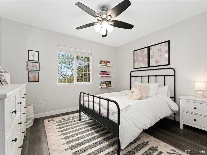 MLS Image #21 for 2833  open sky way,castle rock, Colorado