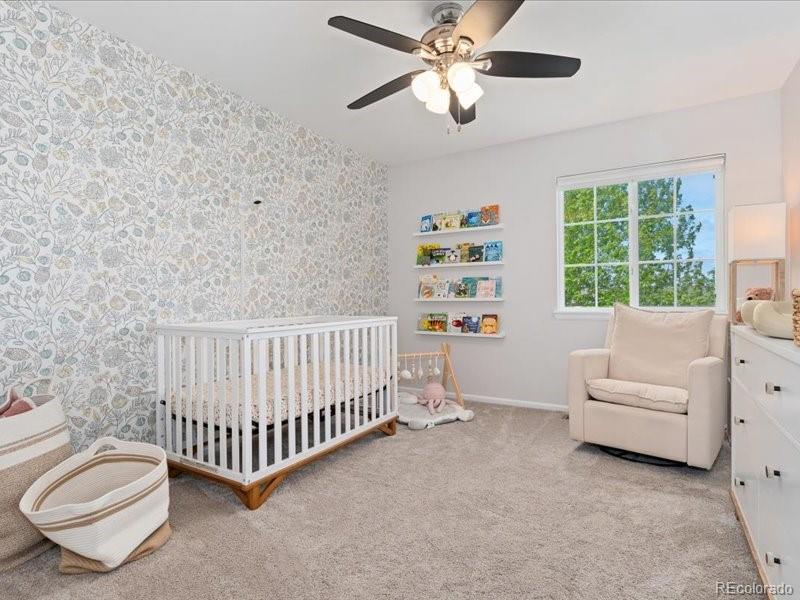 MLS Image #24 for 2833  open sky way,castle rock, Colorado