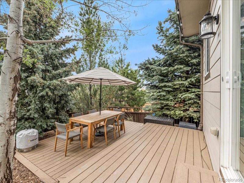 MLS Image #33 for 2833  open sky way,castle rock, Colorado