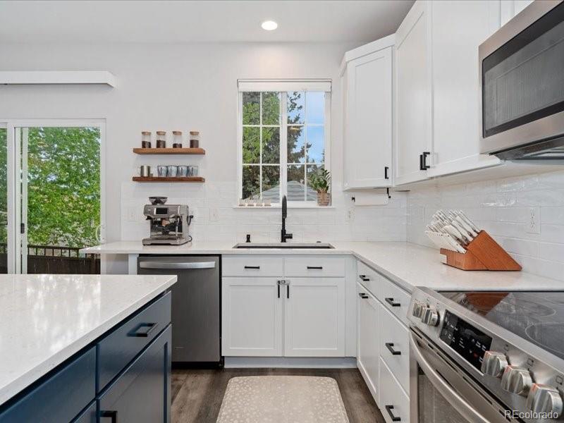 MLS Image #7 for 2833  open sky way,castle rock, Colorado