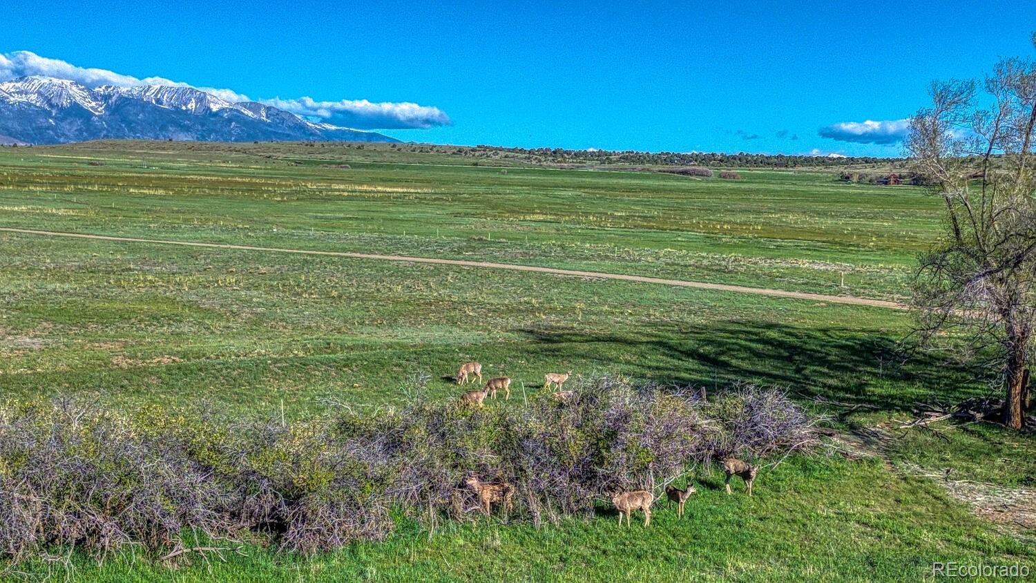 MLS Image #47 for 1216  cowboy way,cotopaxi, Colorado