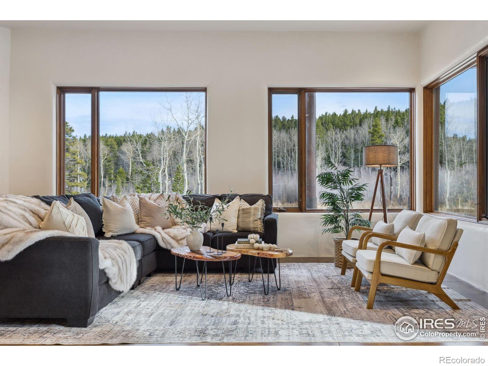 MLS Image #12 for 1460  karlann drive,black hawk, Colorado