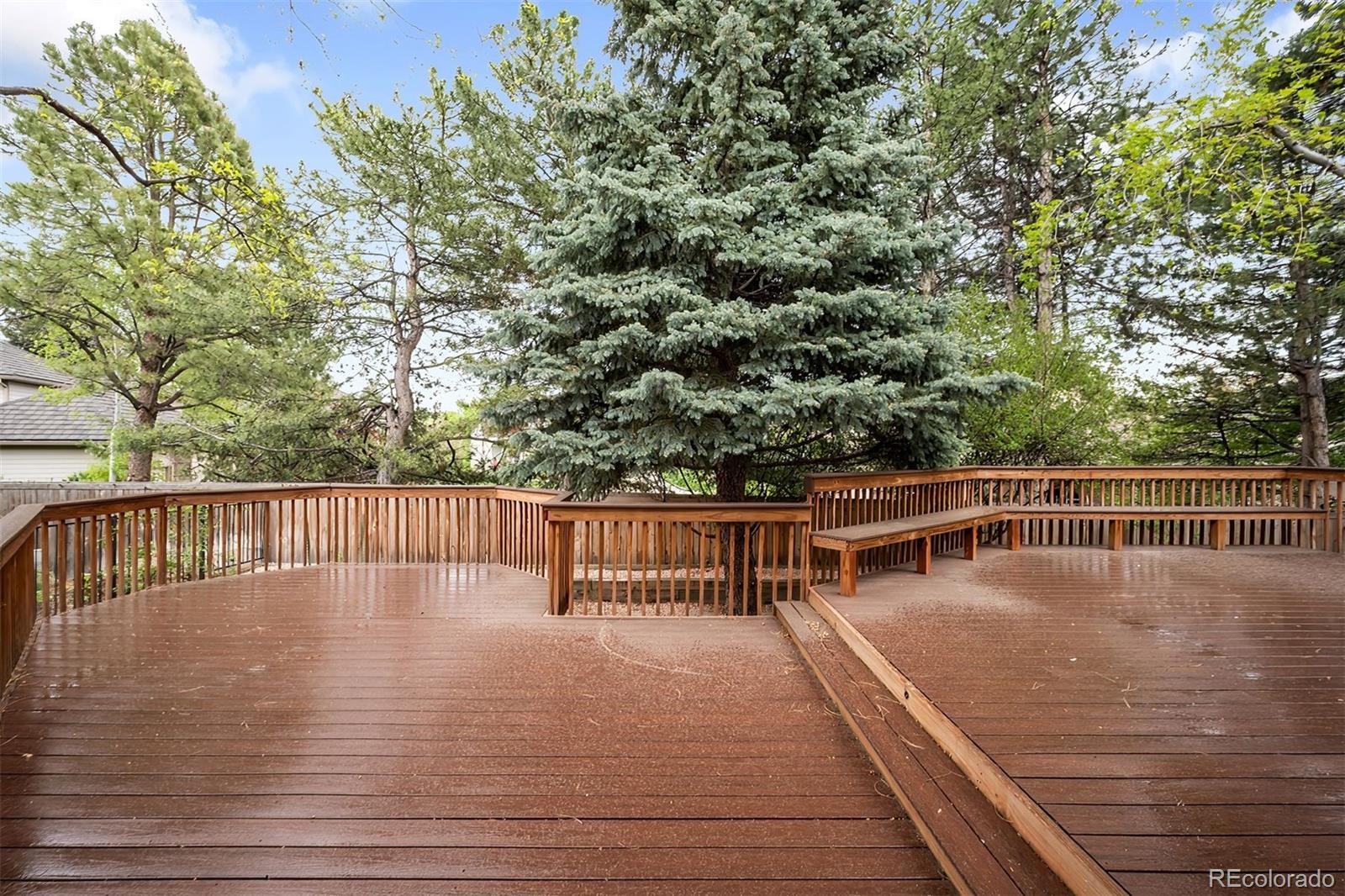 MLS Image #15 for 6274 s iola court,englewood, Colorado