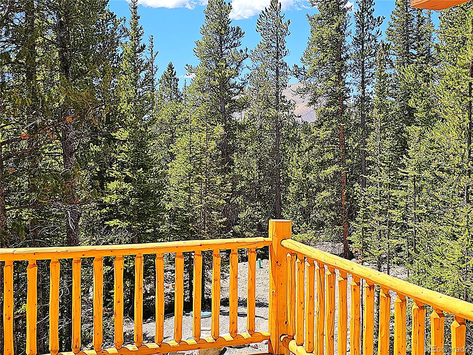 MLS Image #16 for 228  gold trail,fairplay, Colorado