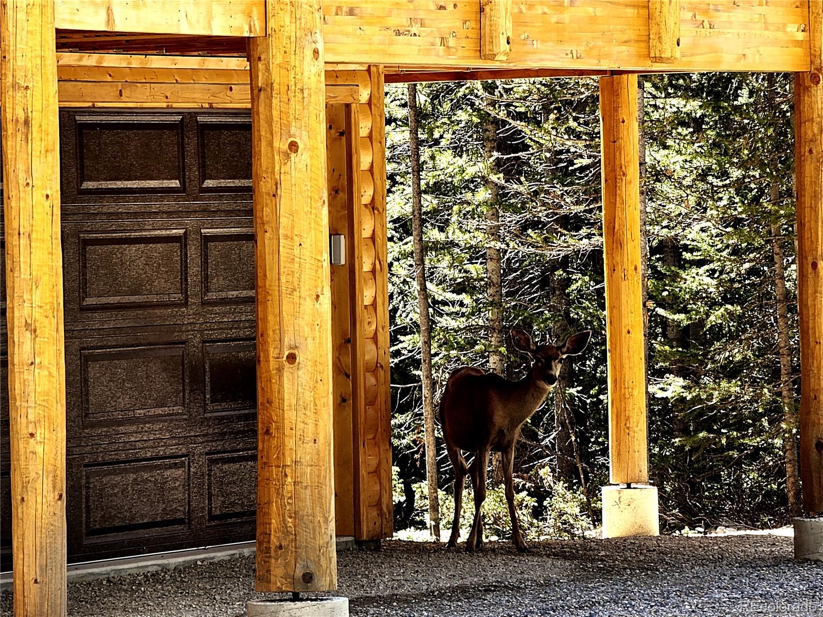 MLS Image #4 for 228  gold trail,fairplay, Colorado