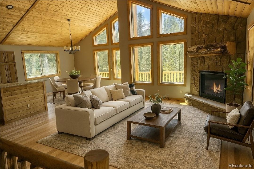 MLS Image #5 for 228  gold trail,fairplay, Colorado