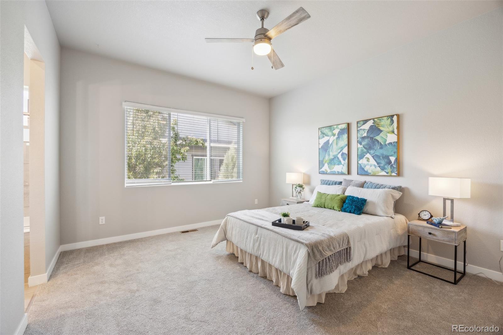 MLS Image #10 for 12574  lake view street,longmont, Colorado