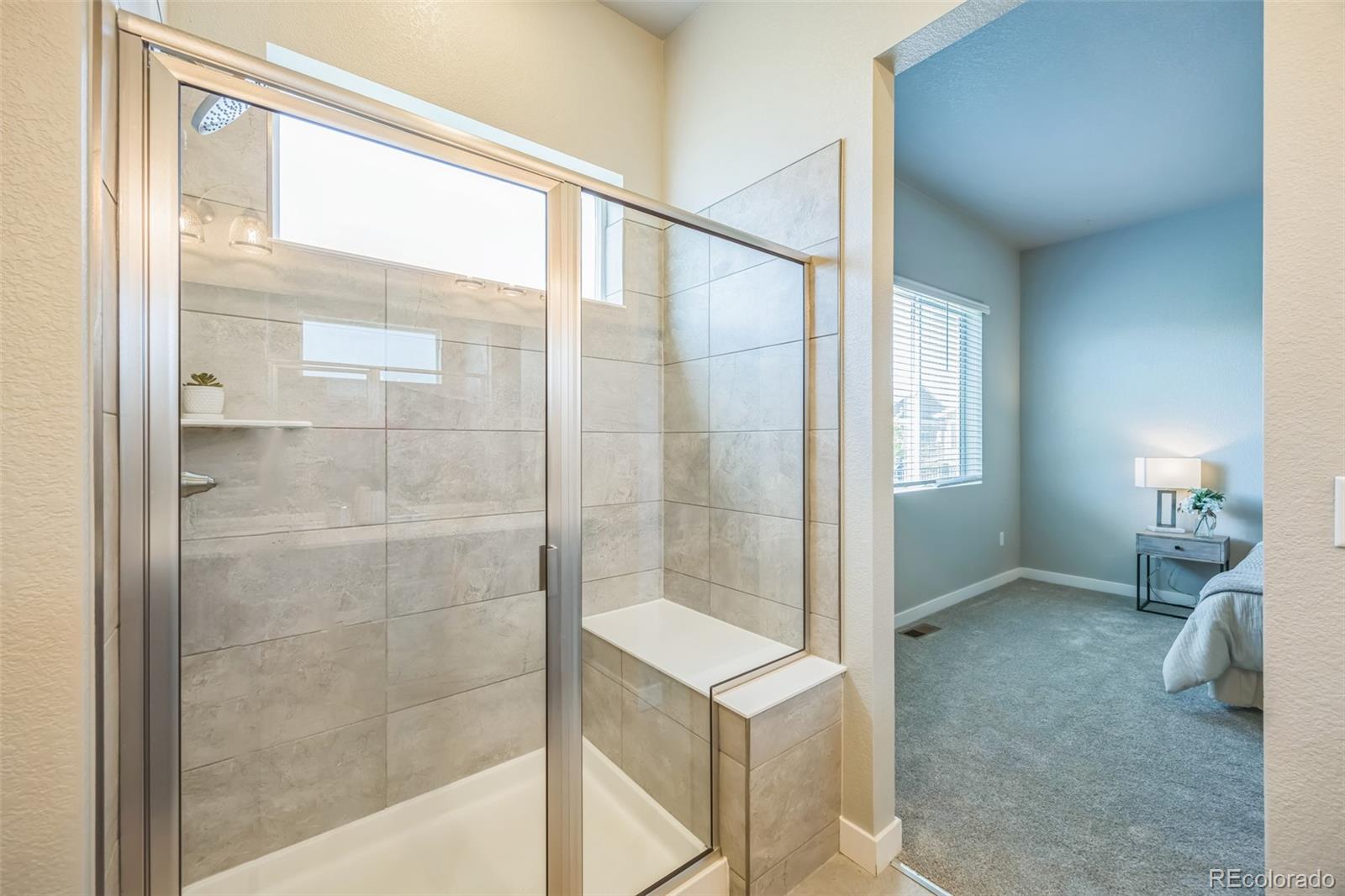 MLS Image #14 for 12574  lake view street,longmont, Colorado